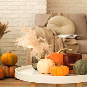 Dining Room Decor on a Budget: How to Use Decorative Pillows to Create a Fall-Inspired Look