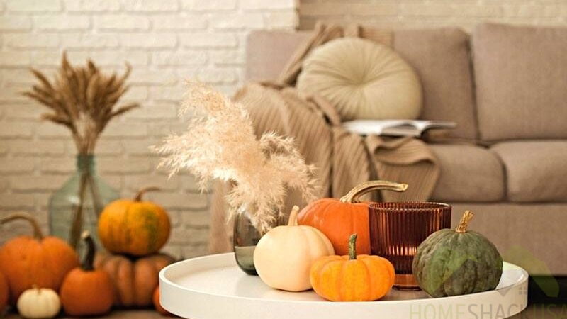 Dining Room Decor on a Budget: How to Use Decorative Pillows to Create a Fall-Inspired Look