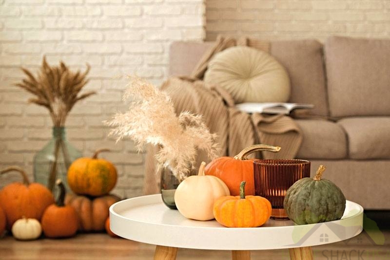 Dining Room Decor on a Budget: How to Use Decorative Pillows to Create a Fall-Inspired Look