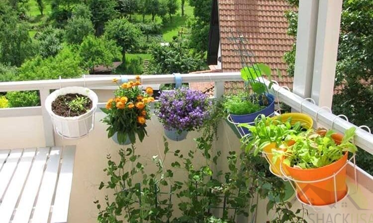 How to Organize a Small Balcony and Create a Cozy Space