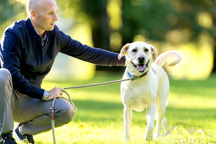 Leash training