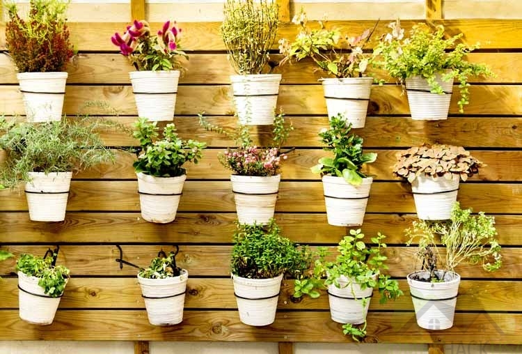 Vertical garden interior