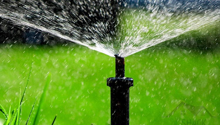 A sprinkler in a garden