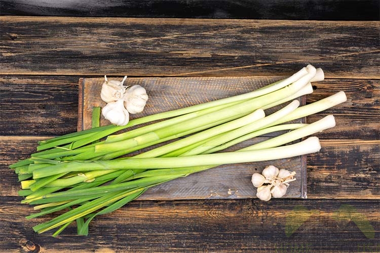 Close-up photo of lemongrass and garlic upon the table