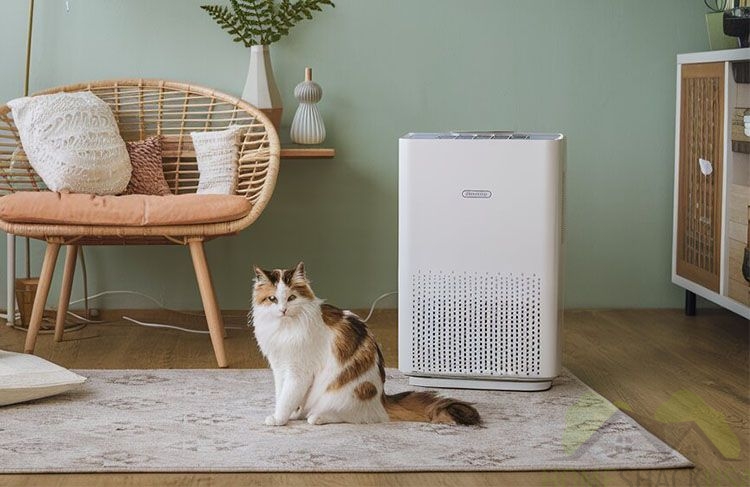 An air purifier and cat next to it