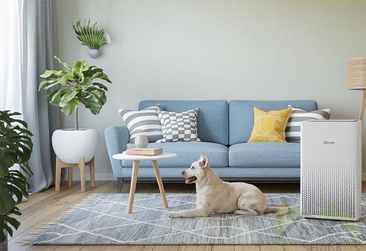 A dog in a room with furnitures   and air purifier