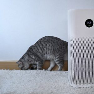 Best Air Purifiers for Pets – How to Combat Pet Hair, Dust, and Allergens