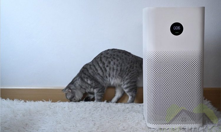 Best Air Purifiers for Pets – Remove Hair, Dust, and Allergens