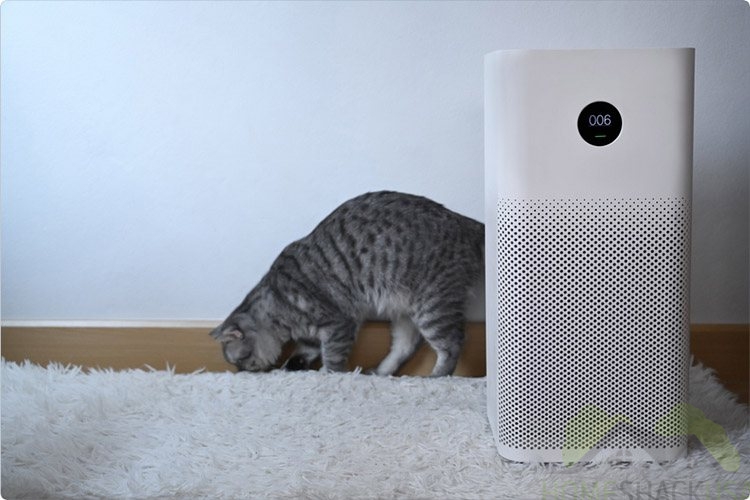 Best Air Purifiers for Pets – How to Combat Pet Hair, Dust, and Allergens