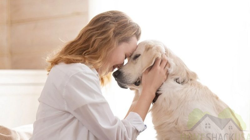 How to Show Your Dog You Love Them – Best Ways to Strengthen Your Bond