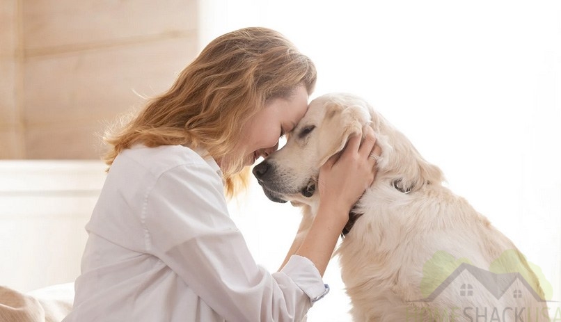 How to Show Your Dog You Love Them – Best Ways to Strengthen Your Bond