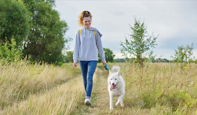 Walking a dog in nature, one of the best ways to strengthen your bond and show love.