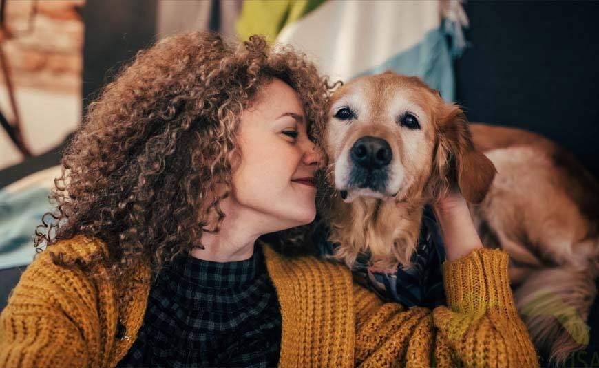 Bonding time between a dog and its owner, illustrating how to show your dog you love them.